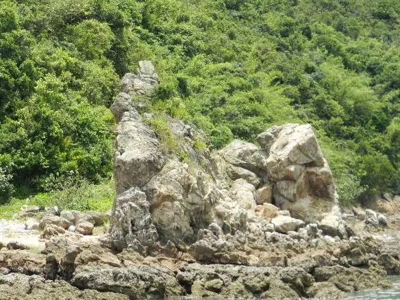 荔枝窩,吉澳,鴨洲一天遊(L10003)