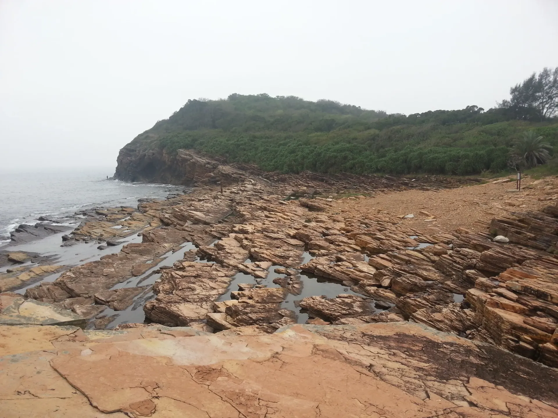 吉澳,東平洲一天遊P01001