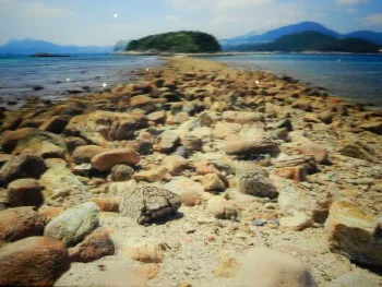 地質公園橋咀島.布袋澳午膳一天遊 IC010001